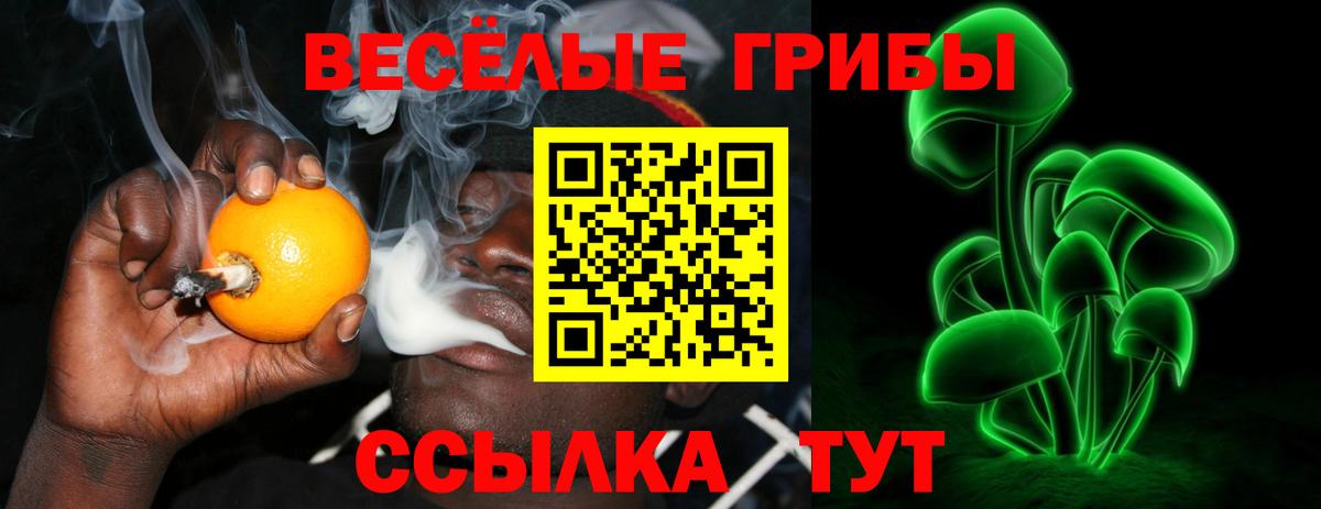 Северобайкальск  Галлюциногенные грибы MAGIC MUSHROOMS  Вход с VPN  Галлюциногенные грибы прущие грибы 